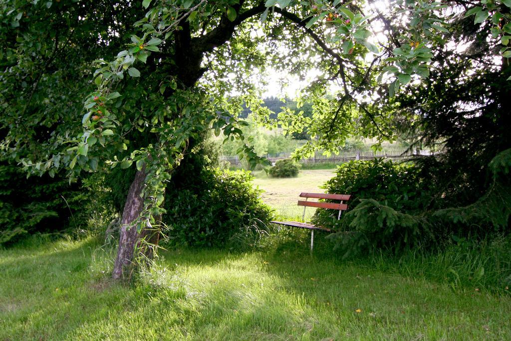 Penzion Muflon Bela nad Radbuzou Exterior photo